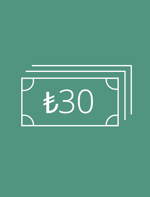 30 TL Para Transferi