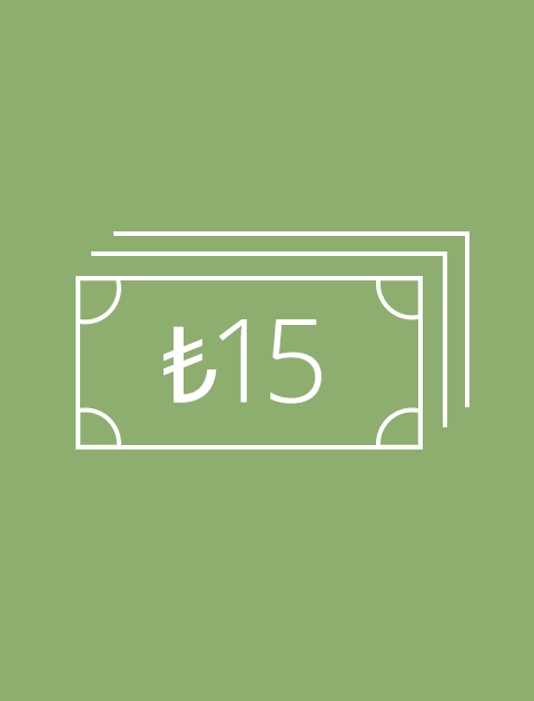15 TL Para Transferi