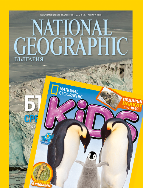 National Geographic и NG KIDS